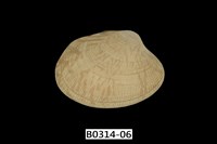 藏品(海瓜子簾蛤)的圖片